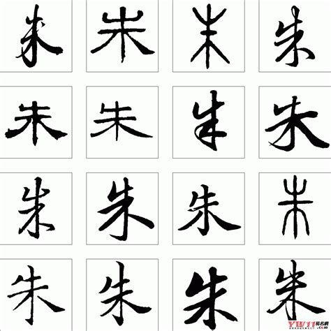 朱的名字